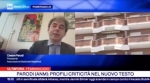 Parodi a RaiNews - 